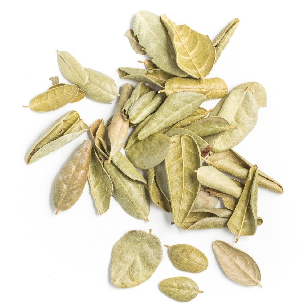 Alternativas Naturais para Problemas Digestivos: Além do Boldo