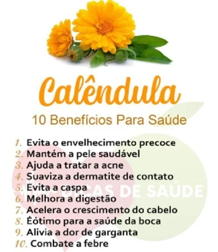 Chá de Calêndula vs. Camomila: Qual o Melhor para Você?