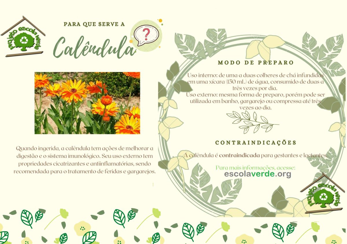 Calêndula para Acne: Como Usar e Seus Benefícios