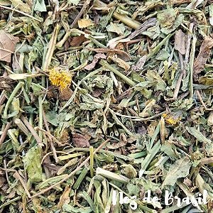 Como Preparar o Chá de Dente de Leão Perfeito