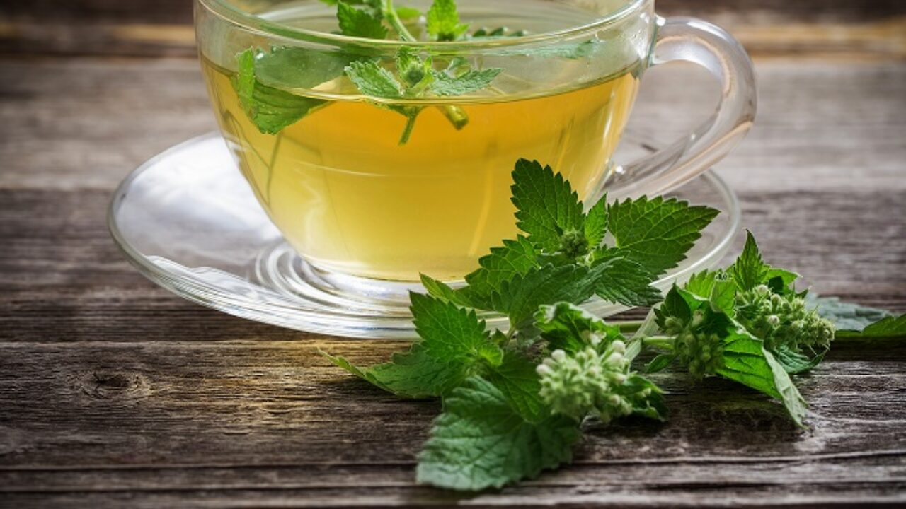 Erva-cidreira vs Camomila: qual o melhor para relaxar?