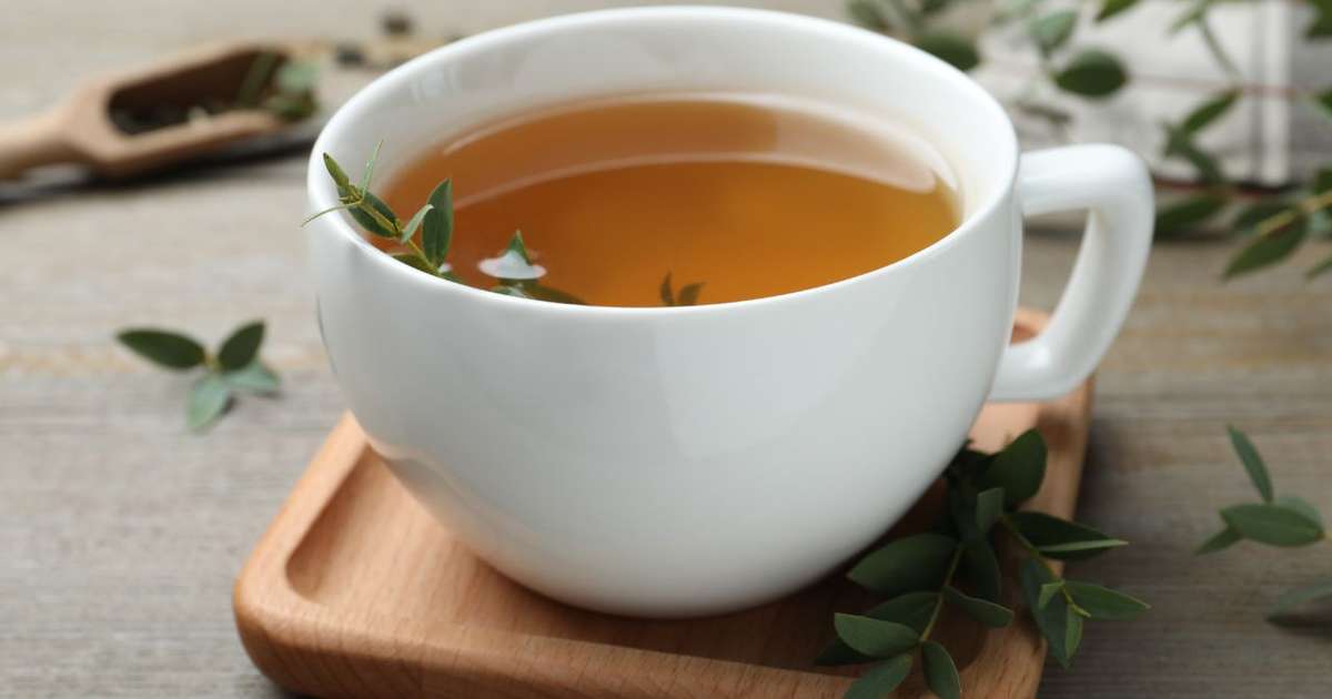 Usos Tópicos do Eucalipto: Alívio Natural para Dores Musculares