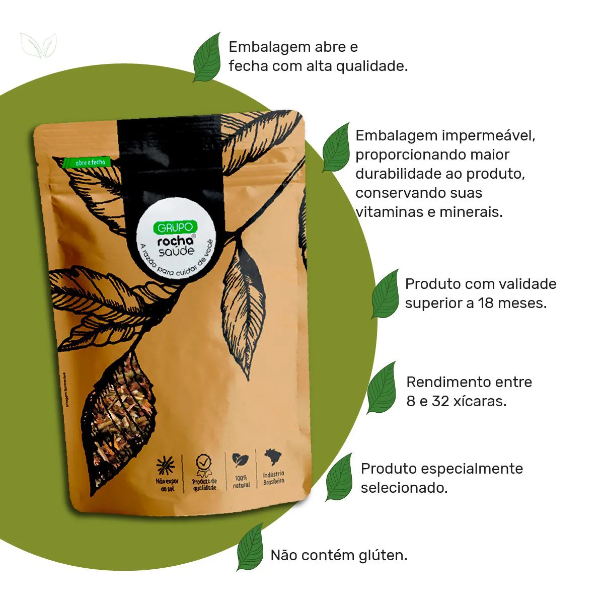 Guia Completo: Benefícios e Cuidados no Uso da Hamamélis