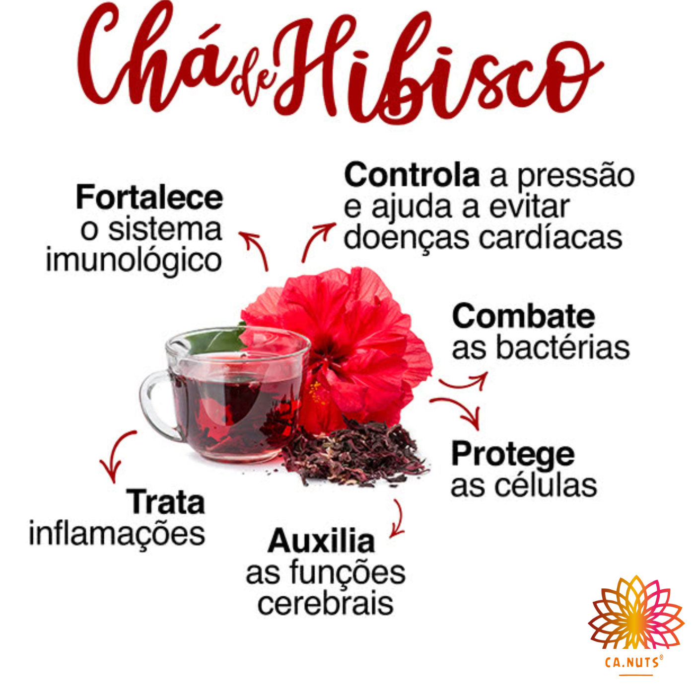 Os Perigos do Chá de Hibisco: Quem Não Pode Tomar?