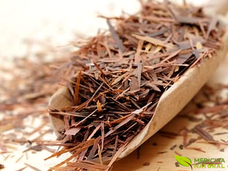 Ipê Roxo na Medicina Tradicional: Uma Visão Histórica