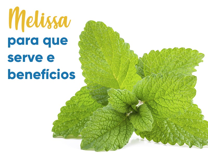 benefícios do chá de melissa