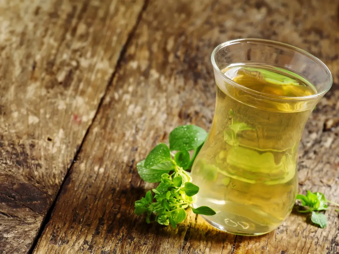 benefícios do chá de orégano para emagrecer