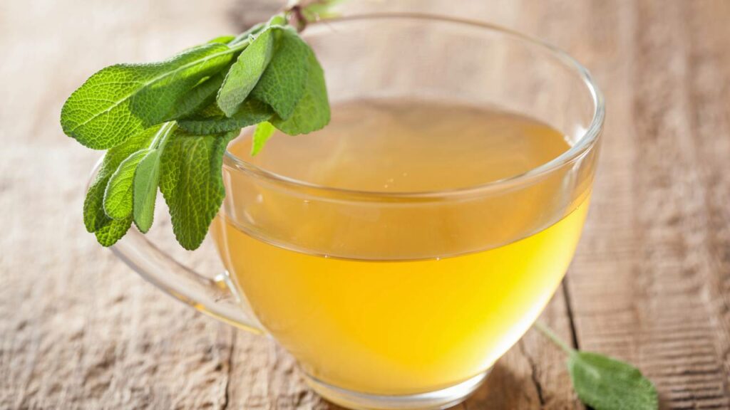 Chá de Sálvia para a Digestão: Um Aliado Poderoso