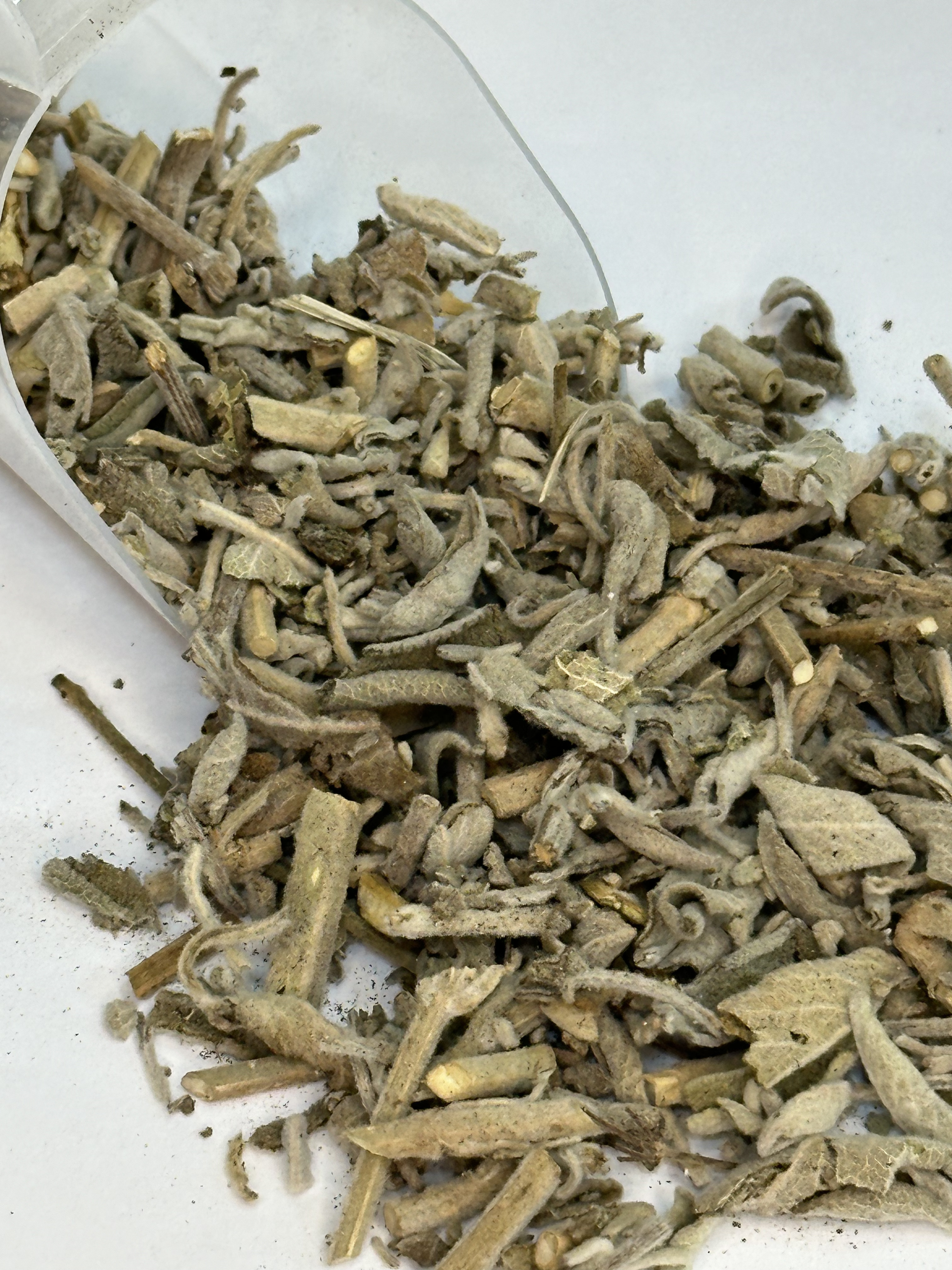 Como Preparar o Chá de Sálvia Perfeito