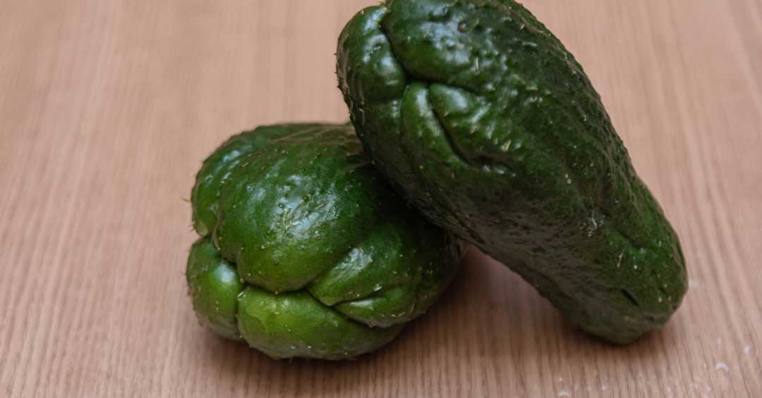 chuchu tem açúcar ou engorda