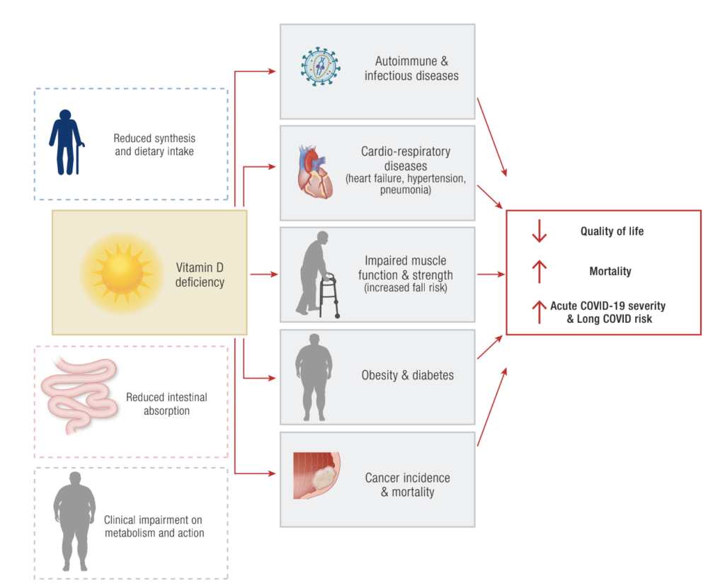 cid deficiencia vitamina d