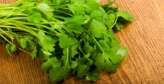 Coentro: um tempero polêmico explicado pela ciência