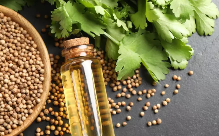 coentro é genético