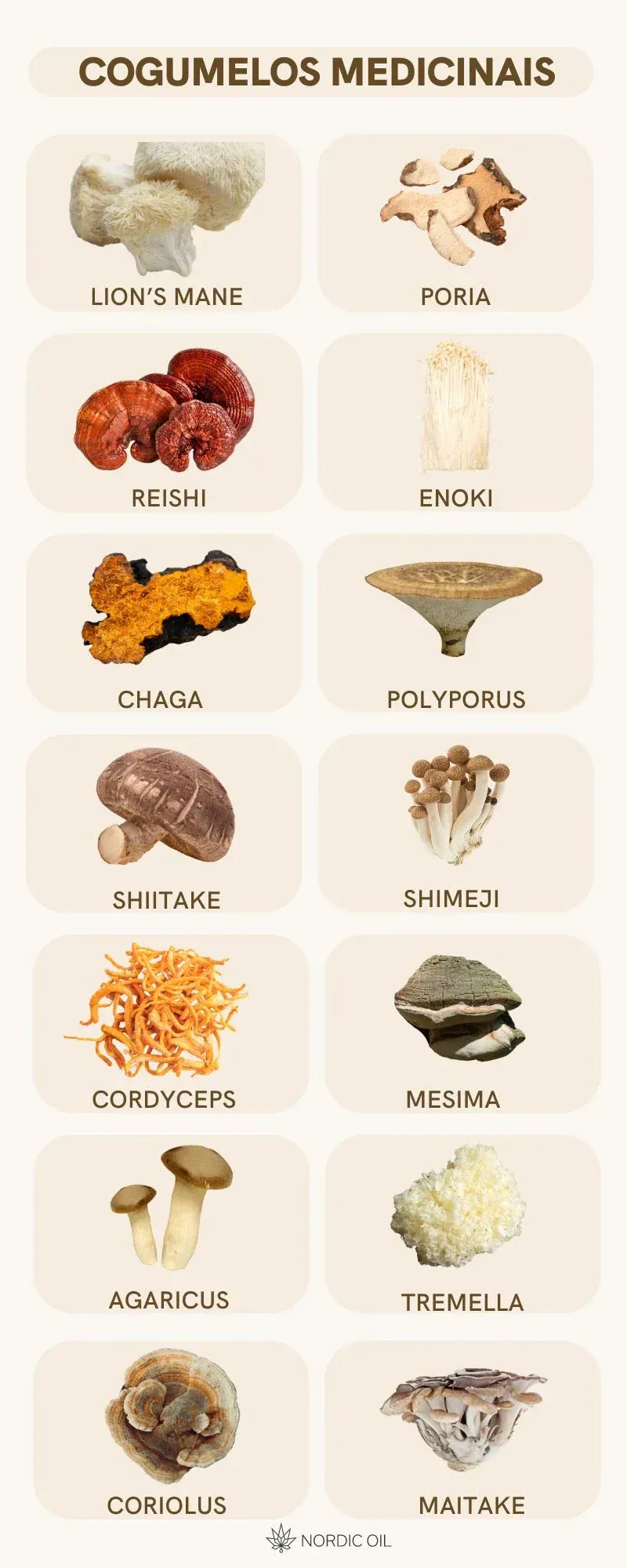 Como Usar Cauda de Peru no Dia a Dia