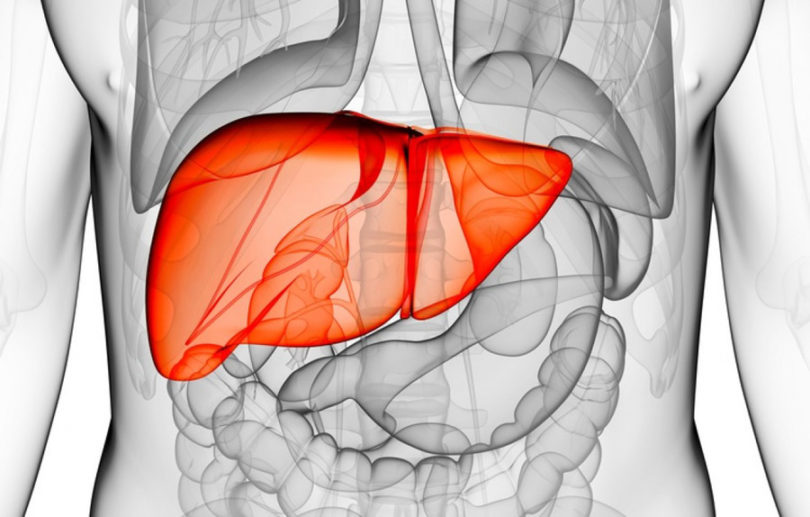 5 Alimentos que Combatem a Gordura no Fígado