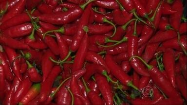 Dieta para Quem Tem Gastrite: O Que Comer e Evitar