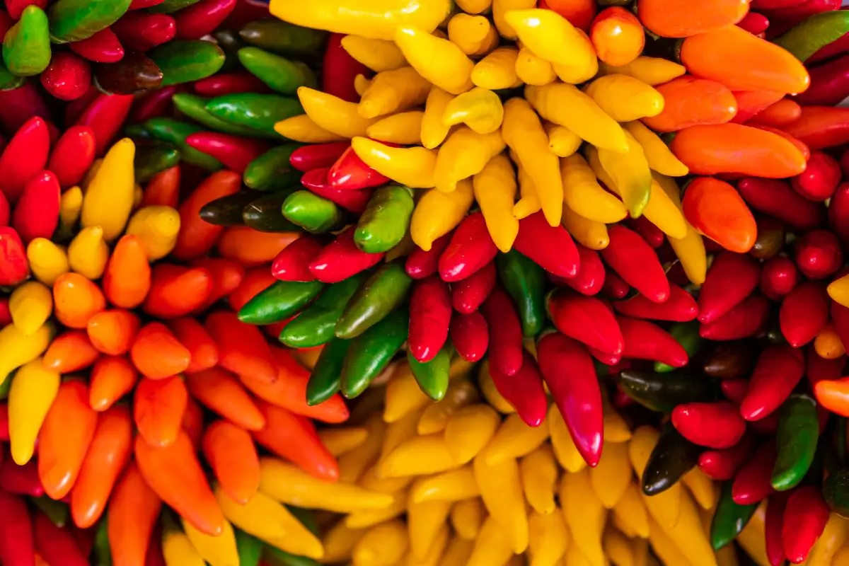 Pimenta e Saúde Digestiva: Mitos e Verdades