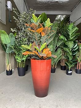 Proteja Suas Raízes: Soluções para Vasos Quentes no Verão