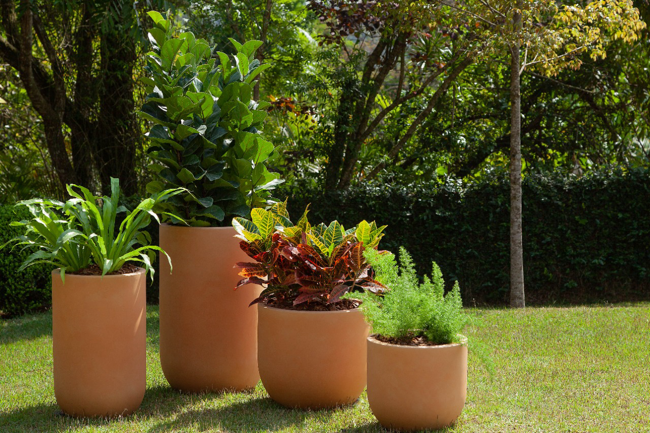 A Psicologia das Cores na Jardinagem: Escolhendo Vasos que Complementam seu Espaço