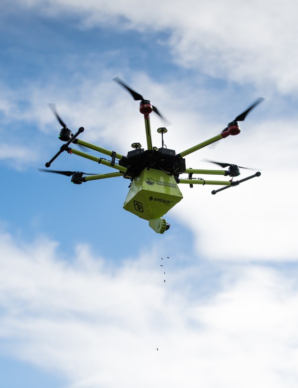 melhores drones para reflorestamento de florestas