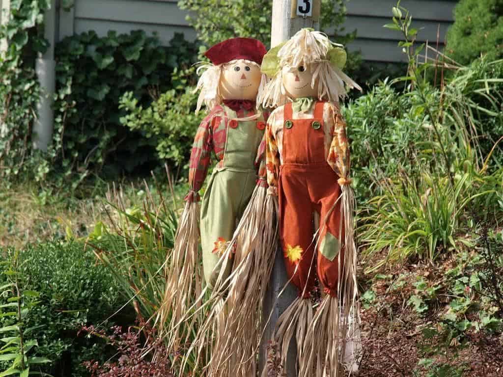 Os melhores repelentes eletrônicos para aves em hortas