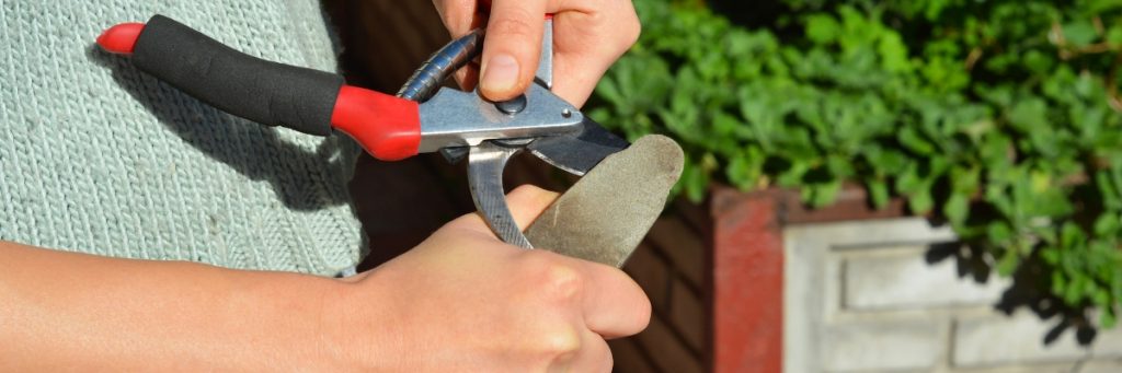 Afiação de facas de jardim: um guia detalhado