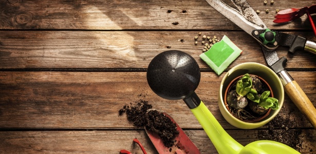 Por que é importante afiar suas ferramentas de jardinagem