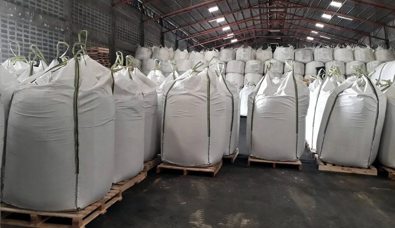 como armazenar sementes corretamente