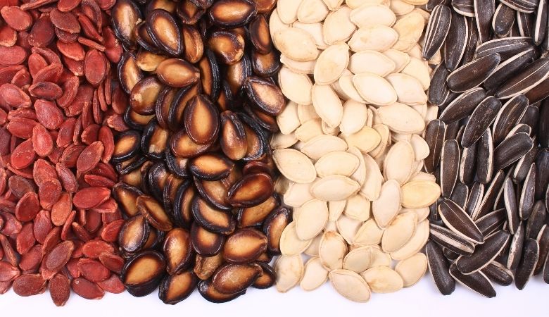 como armazenar sementes corretamente