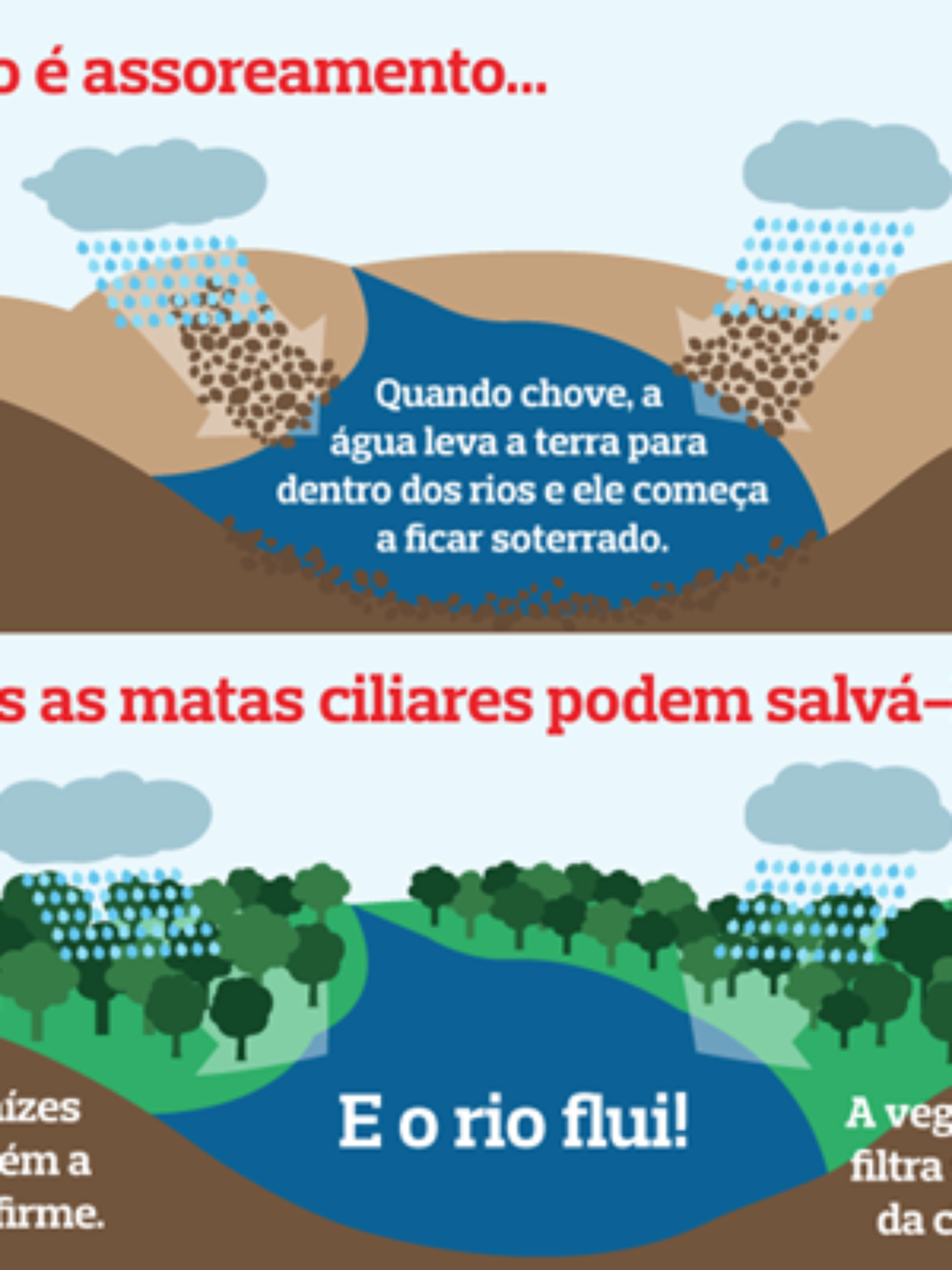 erros comuns ao plantar árvores para filtragem de água