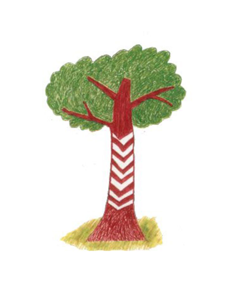 5 ideias de títulos:
1. A Inteligência Oculta das Florestas: Como as Árvores Conversam.
2. 