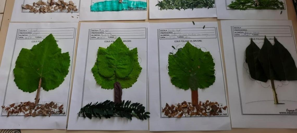 5 ideias de títulos:
1. A Inteligência Oculta das Florestas: Como as Árvores Conversam.
2. 