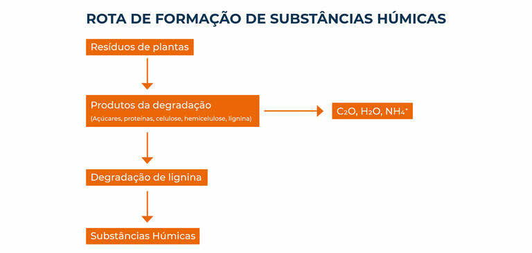5 Melhores Plantas de Cobertura para Cada Tipo de Solo