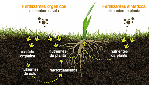 Manejo de Resíduos Orgânicos na Horta Doméstica