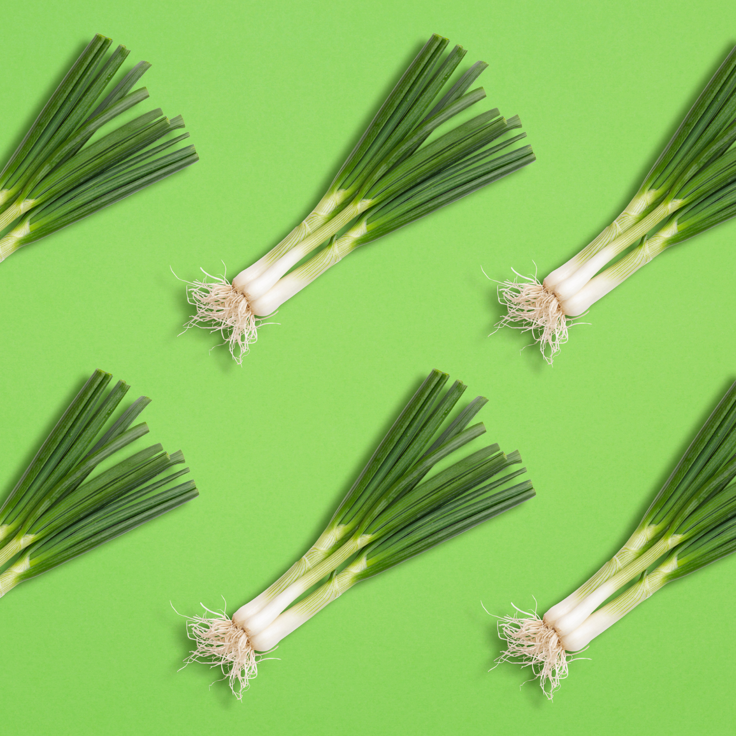 Adubação de Cebolinha: Os Melhores Fertilizantes para Crescimento Rápido