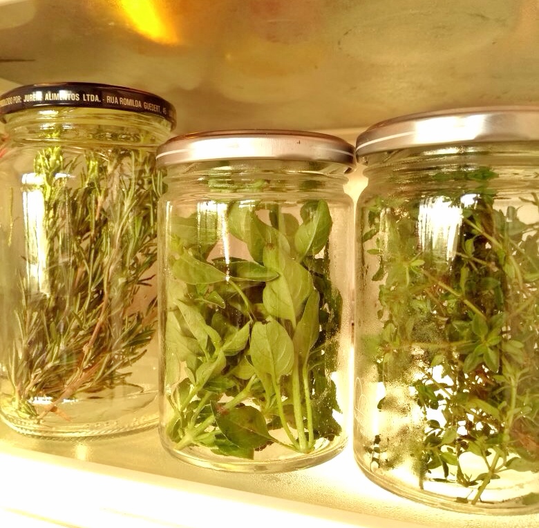 como colher e armazenar ervas