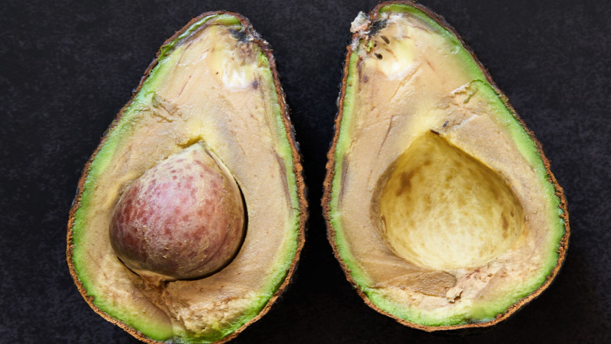 Abacate na Geladeira: O Guia Definitivo