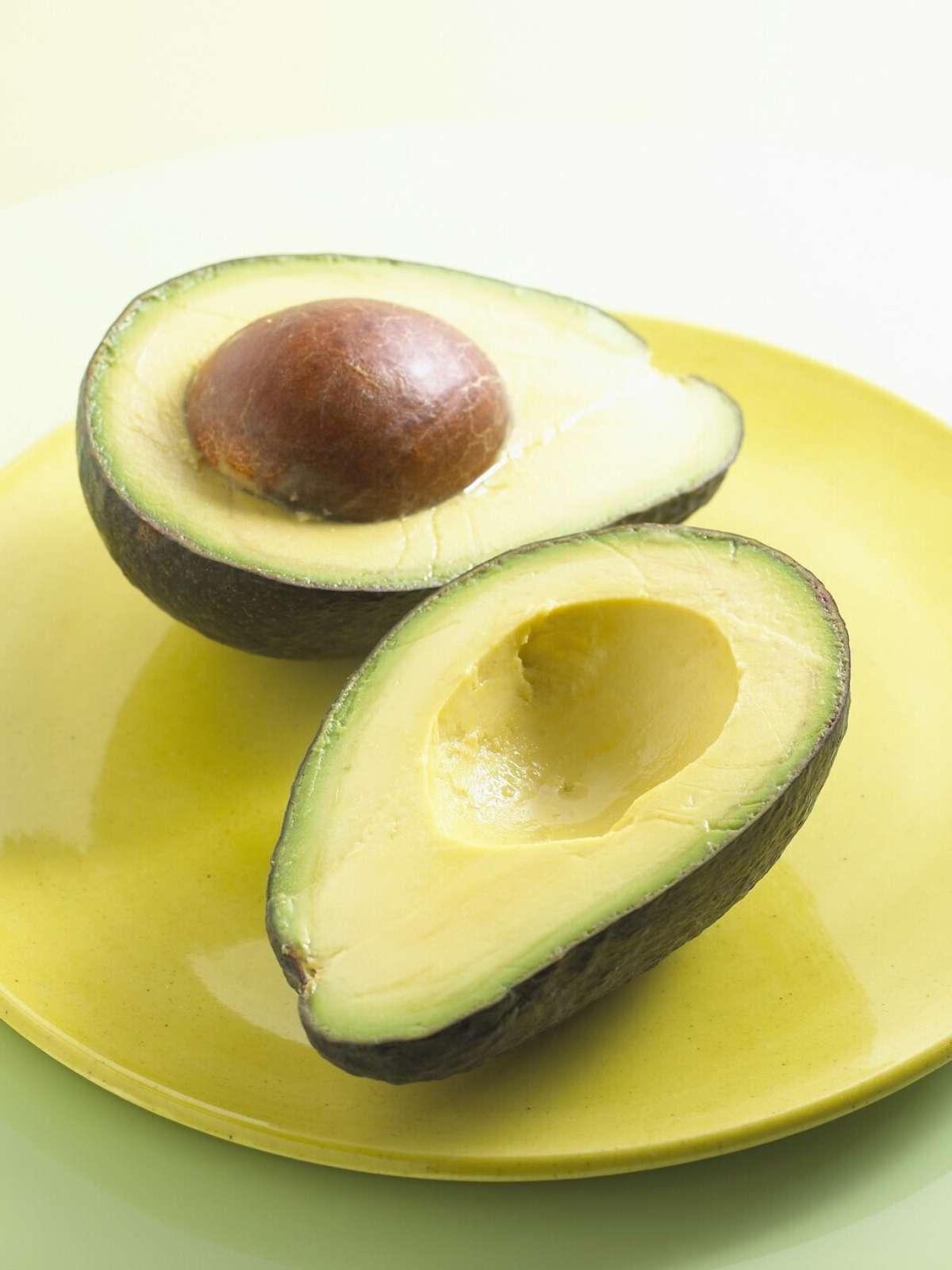 Abacate na Geladeira: O Guia Definitivo