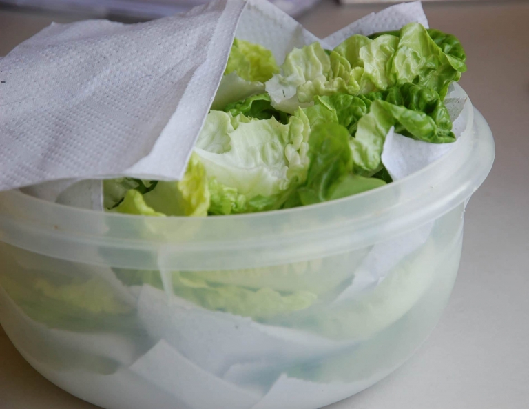 5 melhores potes herméticos para alface