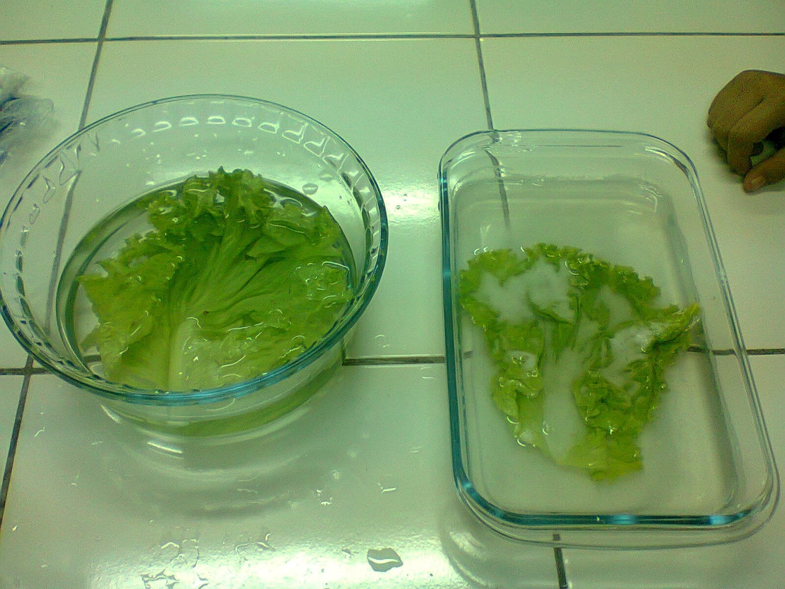 Dicas de desinfecção de vegetais