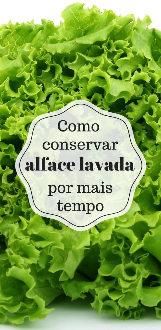 Receitas com alface que rendem