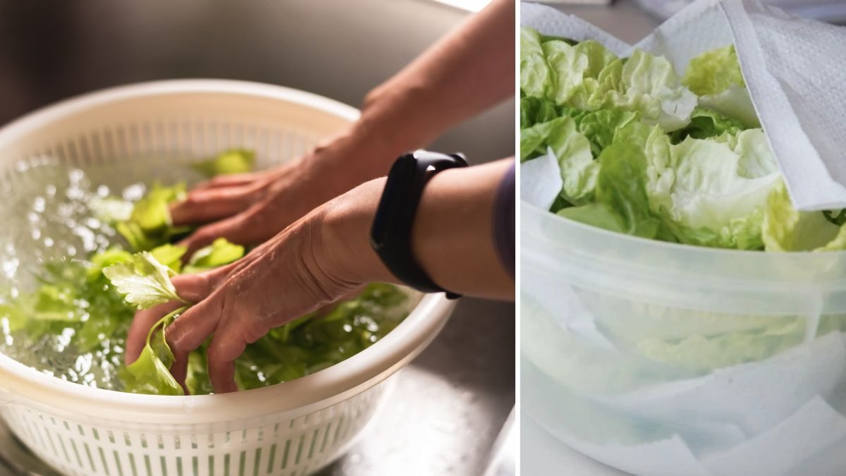 como conservar alface na geladeira por mais tempo