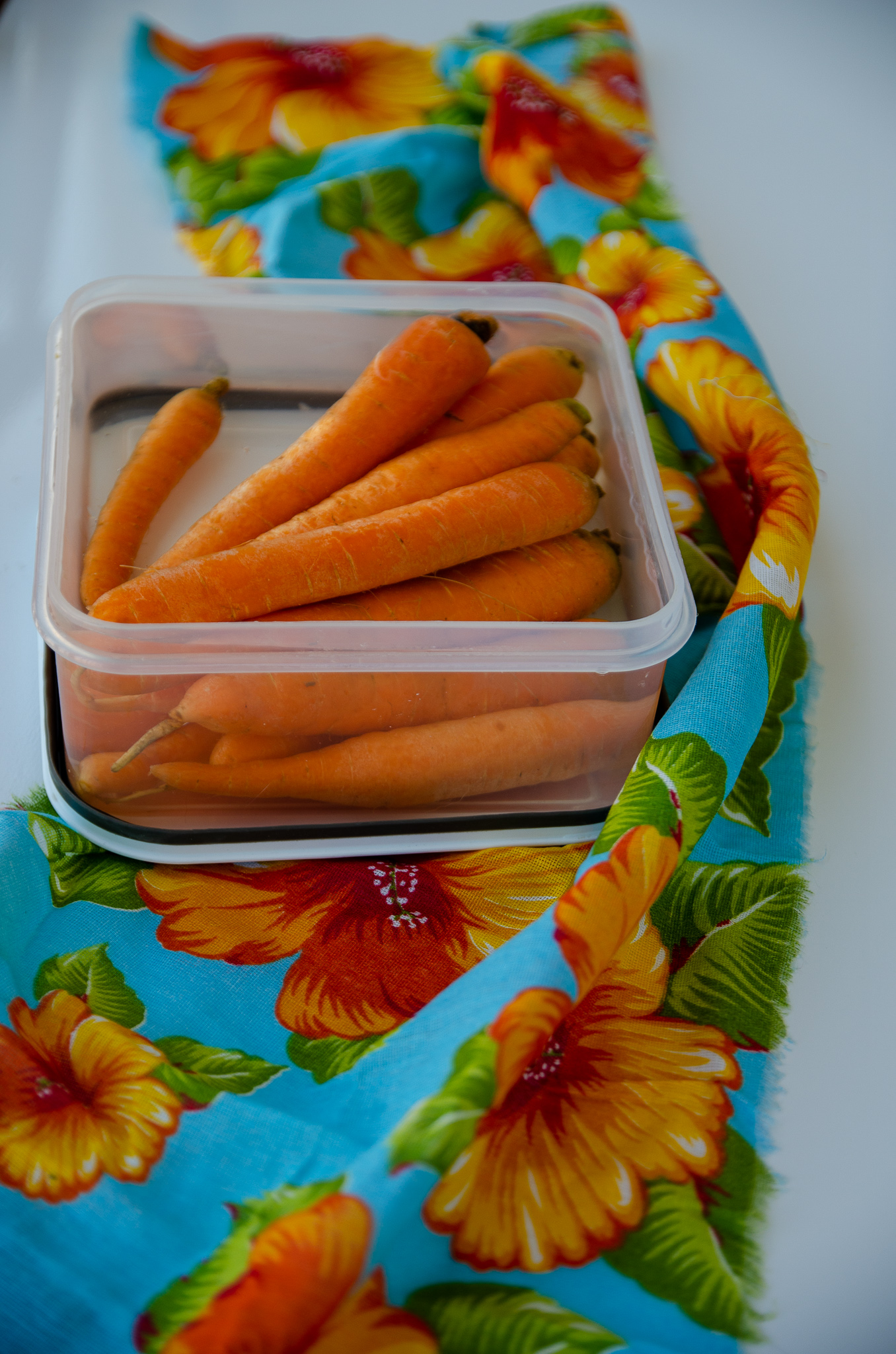 como conservar cenoura na geladeira