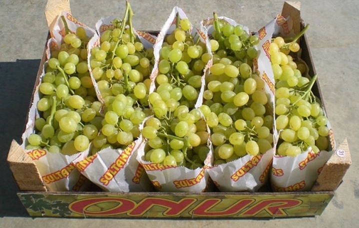 Benefícios de comer uvas diariamente