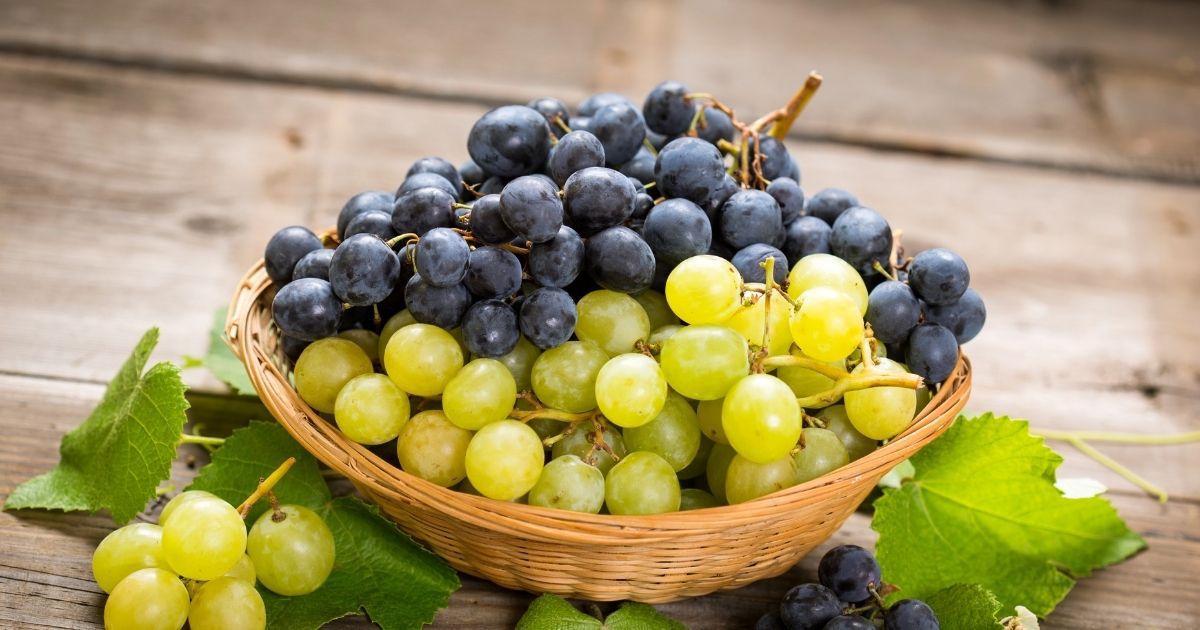 Receitas com uvas frescas