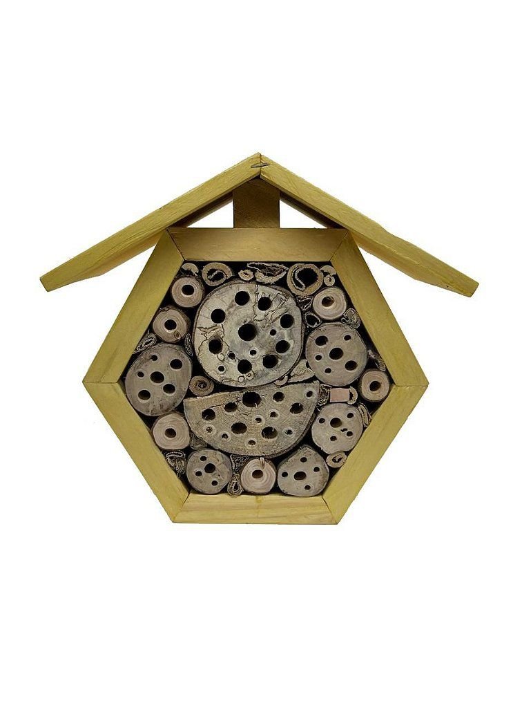 Guia Completo de Flores para Atrair Abelhas Nativas