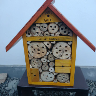 Como Identificar Abelhas Solitárias no Seu Jardim