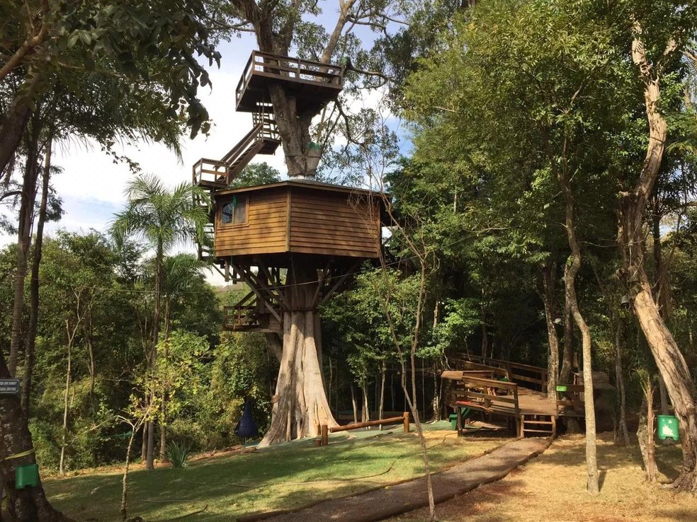 Guia Completo de Materiais para sua Casa na Árvore