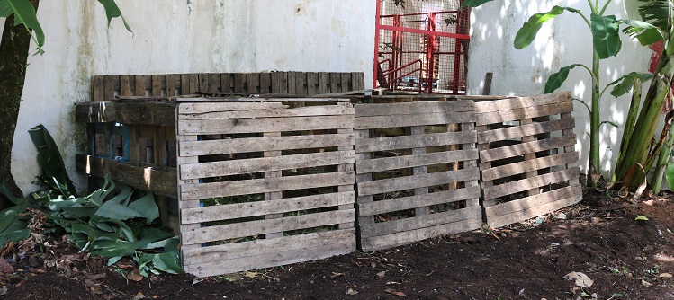 Como Acelerar a Decomposição na sua Composteira Caseira