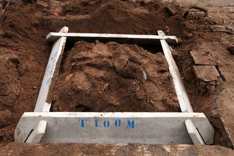 como controlar o crescimento de uma arvore